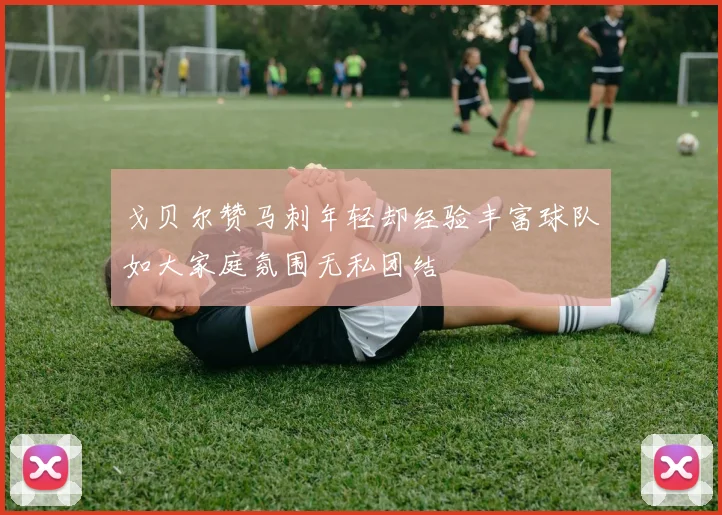 戈贝尔赞马刺年轻却经验丰富球队如大家庭氛围无私团结